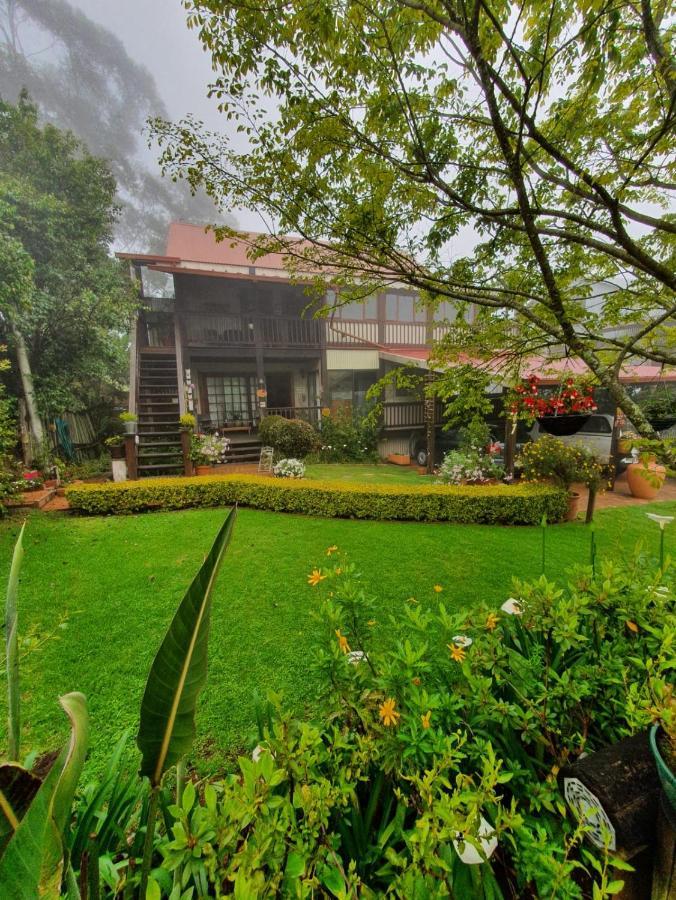 Kattekwaad Accommodation Kaapsehoop Екстер'єр фото
