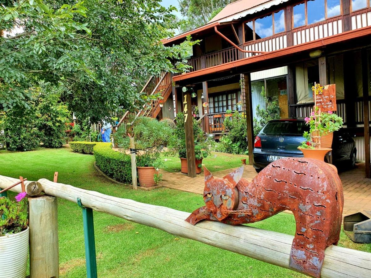 Kattekwaad Accommodation Kaapsehoop Екстер'єр фото