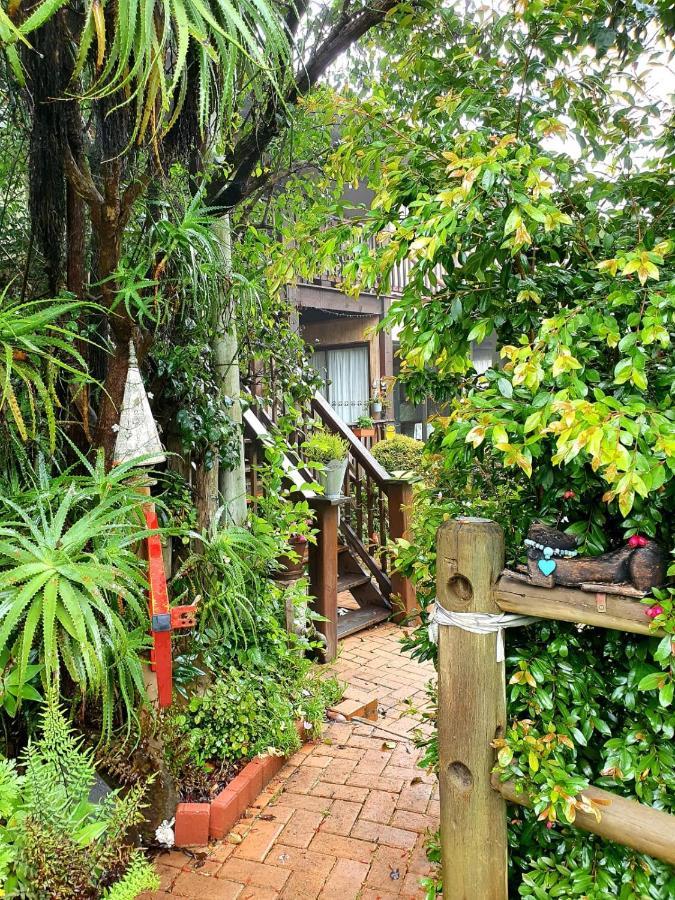 Kattekwaad Accommodation Kaapsehoop Екстер'єр фото